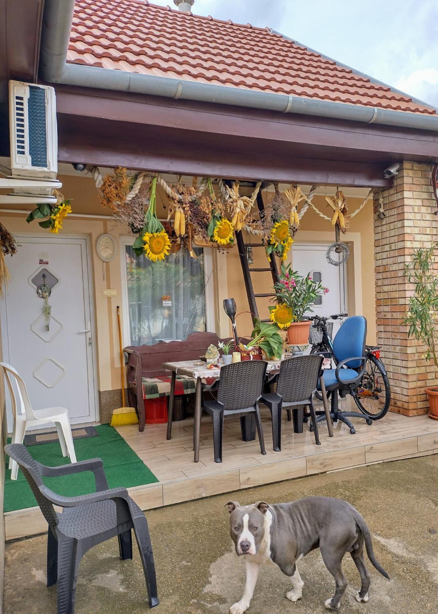 Bundik Vendégház Berettyóújfalu Exterior foto