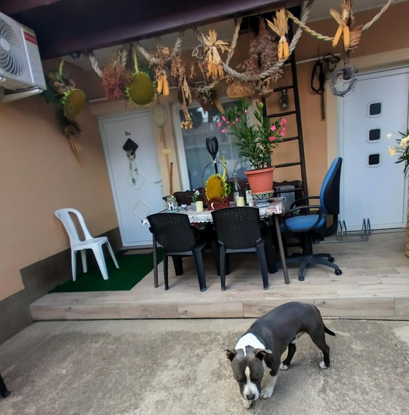 Bundik Vendégház Berettyóújfalu Exterior foto